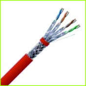 cat7
